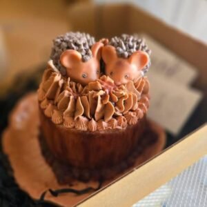 IMG 20260212 172242 118