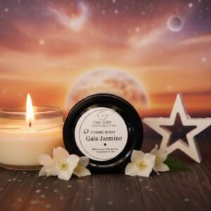 Polish 20260323 005829810